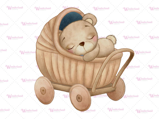 Baby Bear Stroller CC